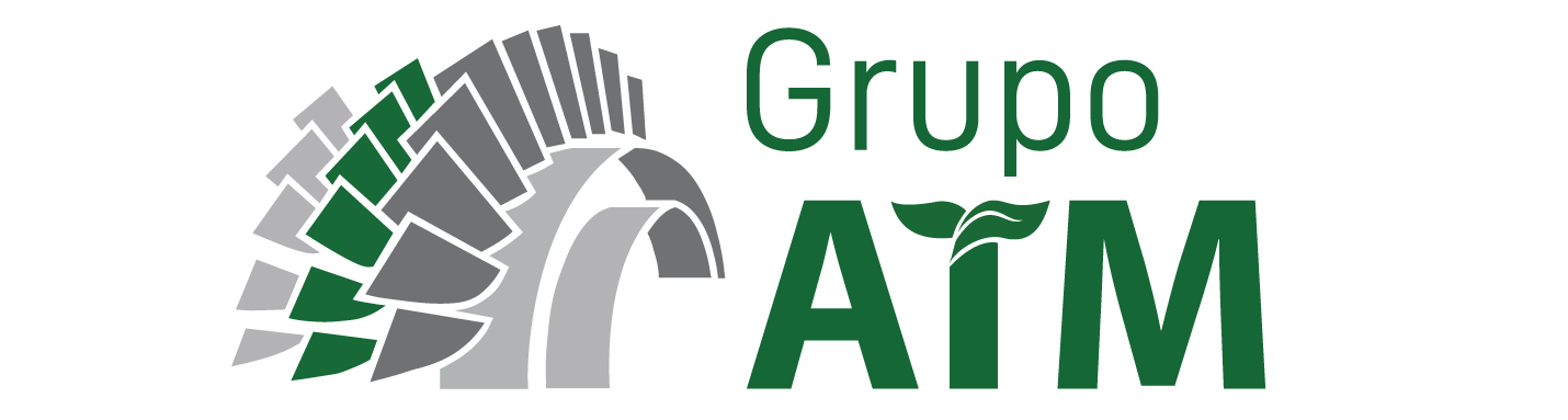 Grupo ATM